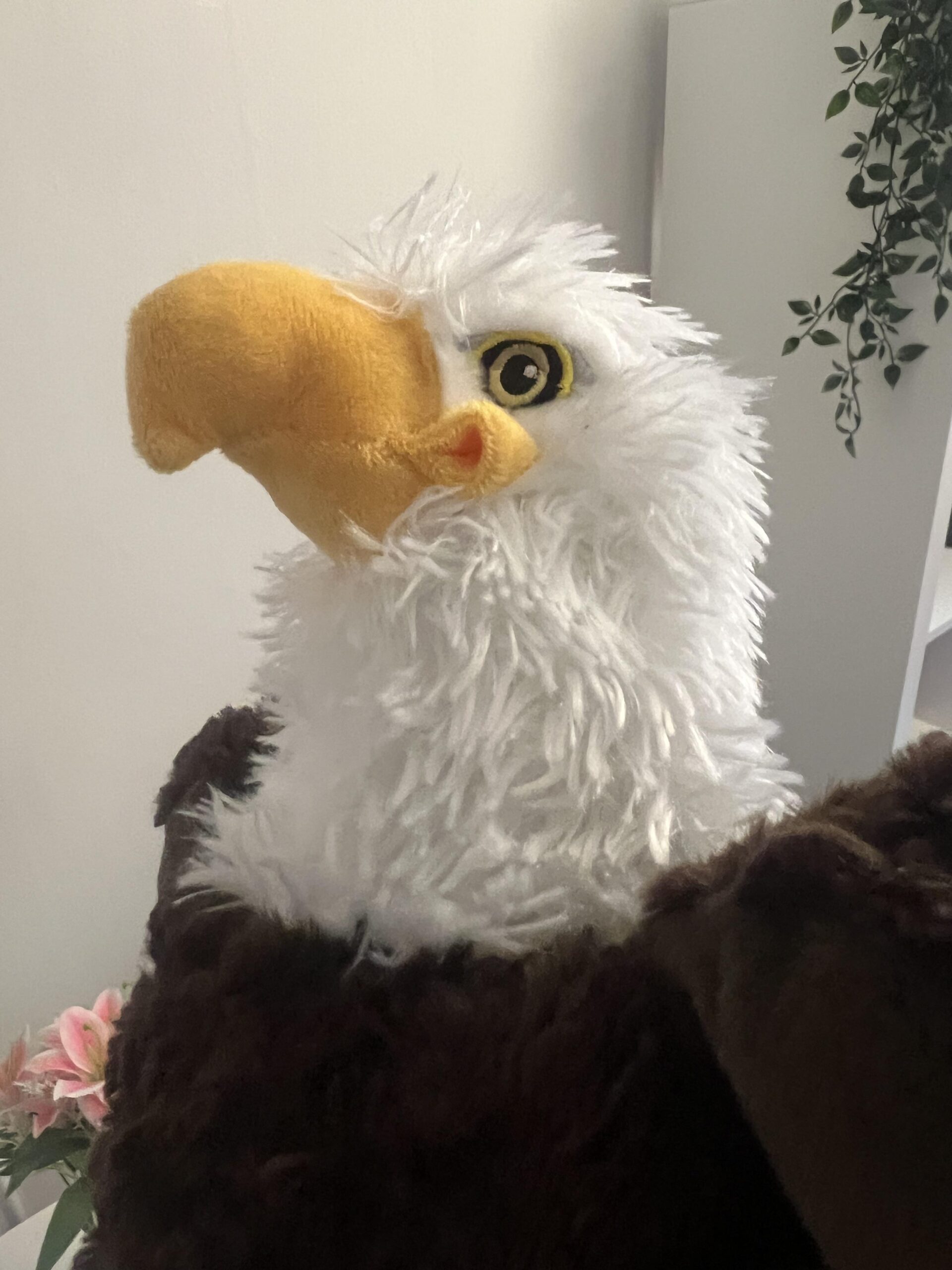 Gros plan du visage et du bec de la peluche Wild Republic Cuddlekins Eco Bald Eagle