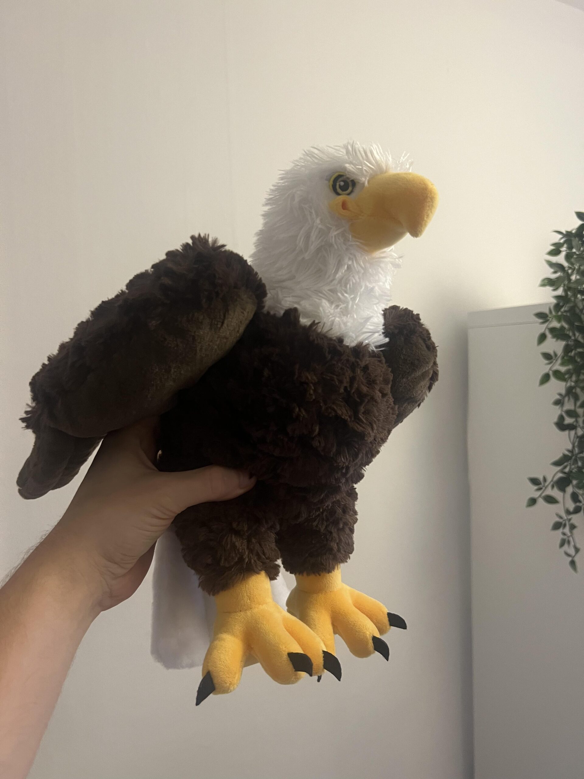 Peluche Wild Republic Cuddlekins Eco Bald Eagle tenue à la main pour comparer la taille