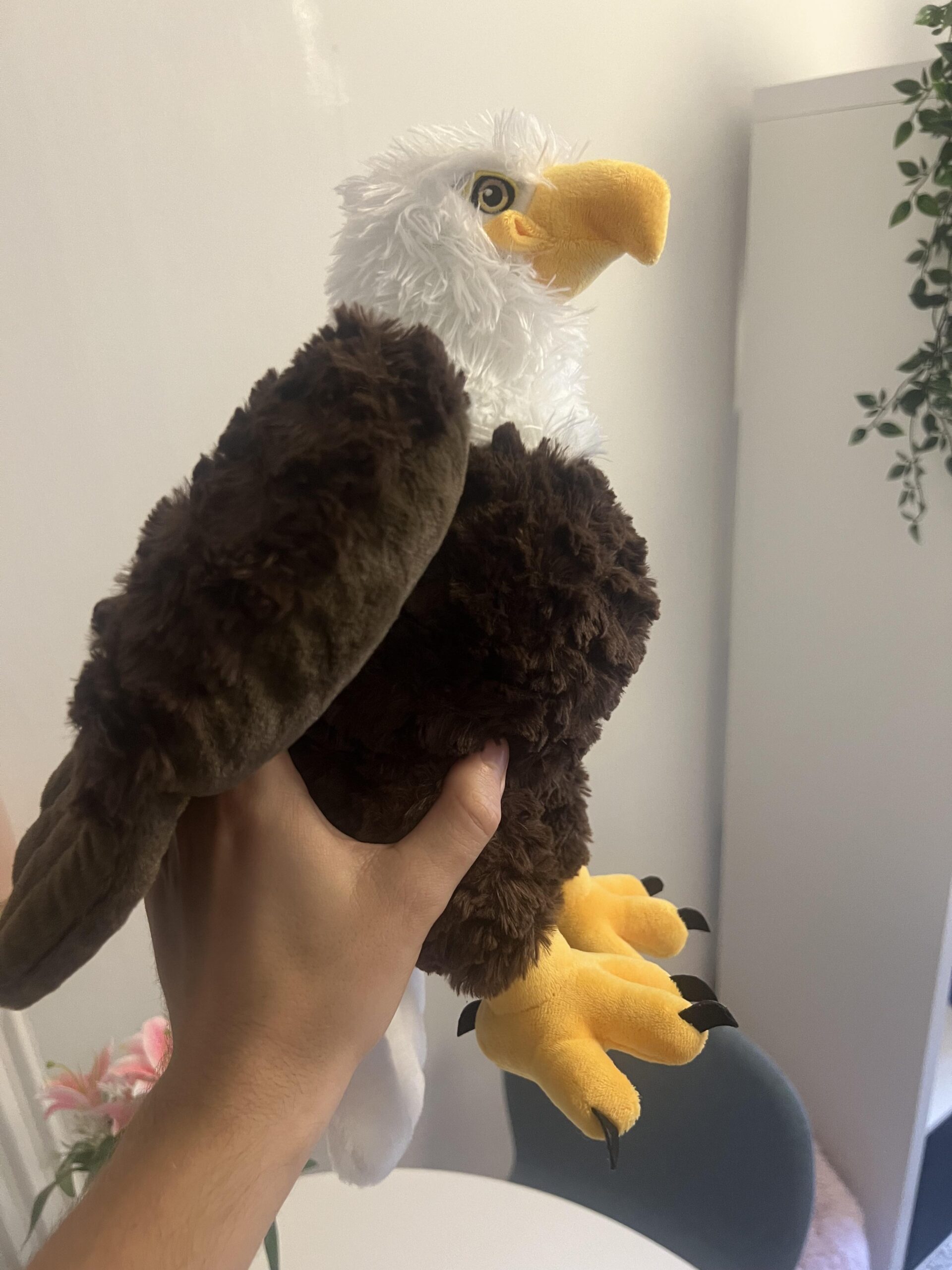 Profil de la peluche Wild Republic Cuddlekins Eco Bald Eagle
