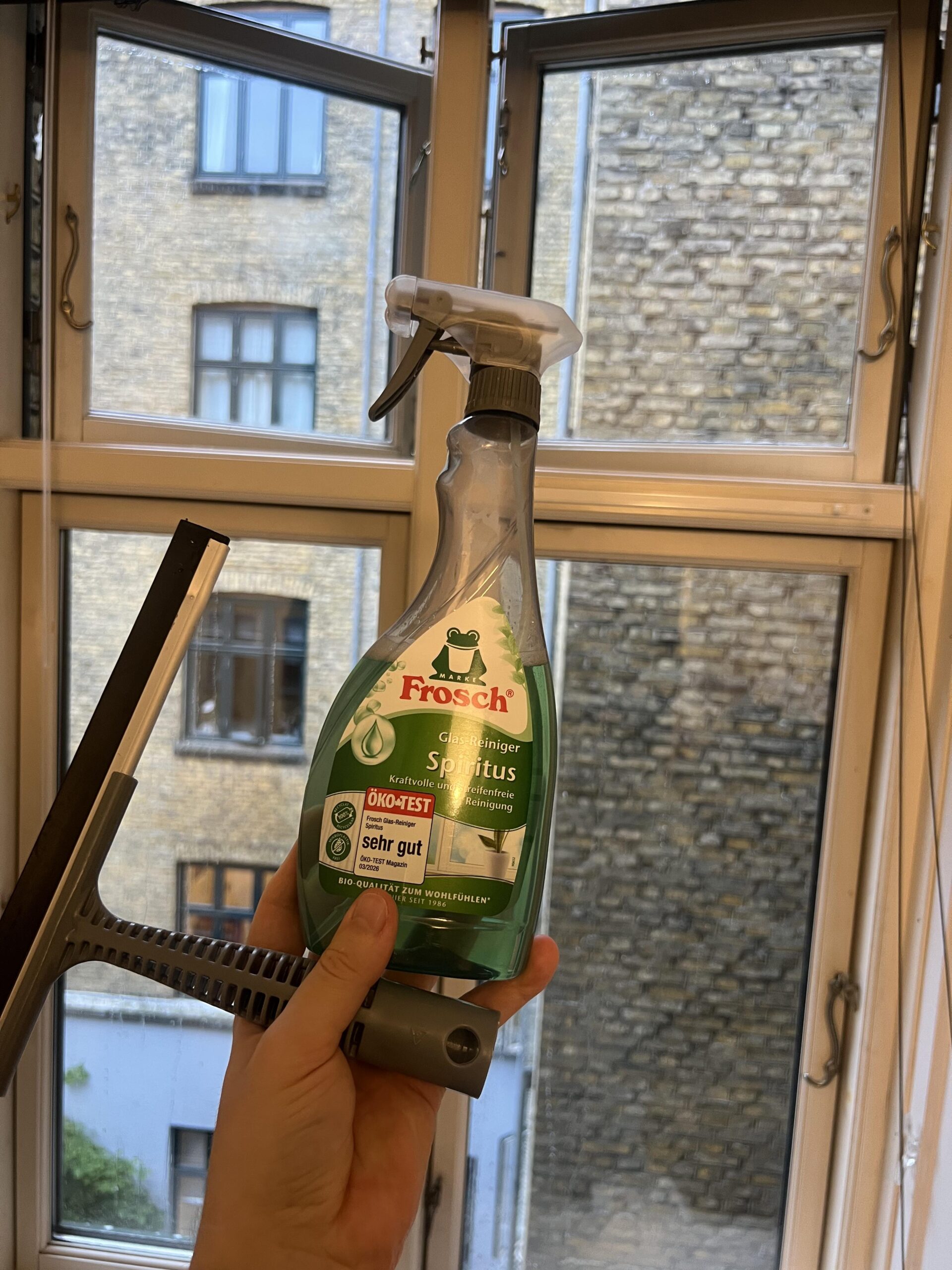 The Frosch bottle photographed in front of a window during my cleaning session