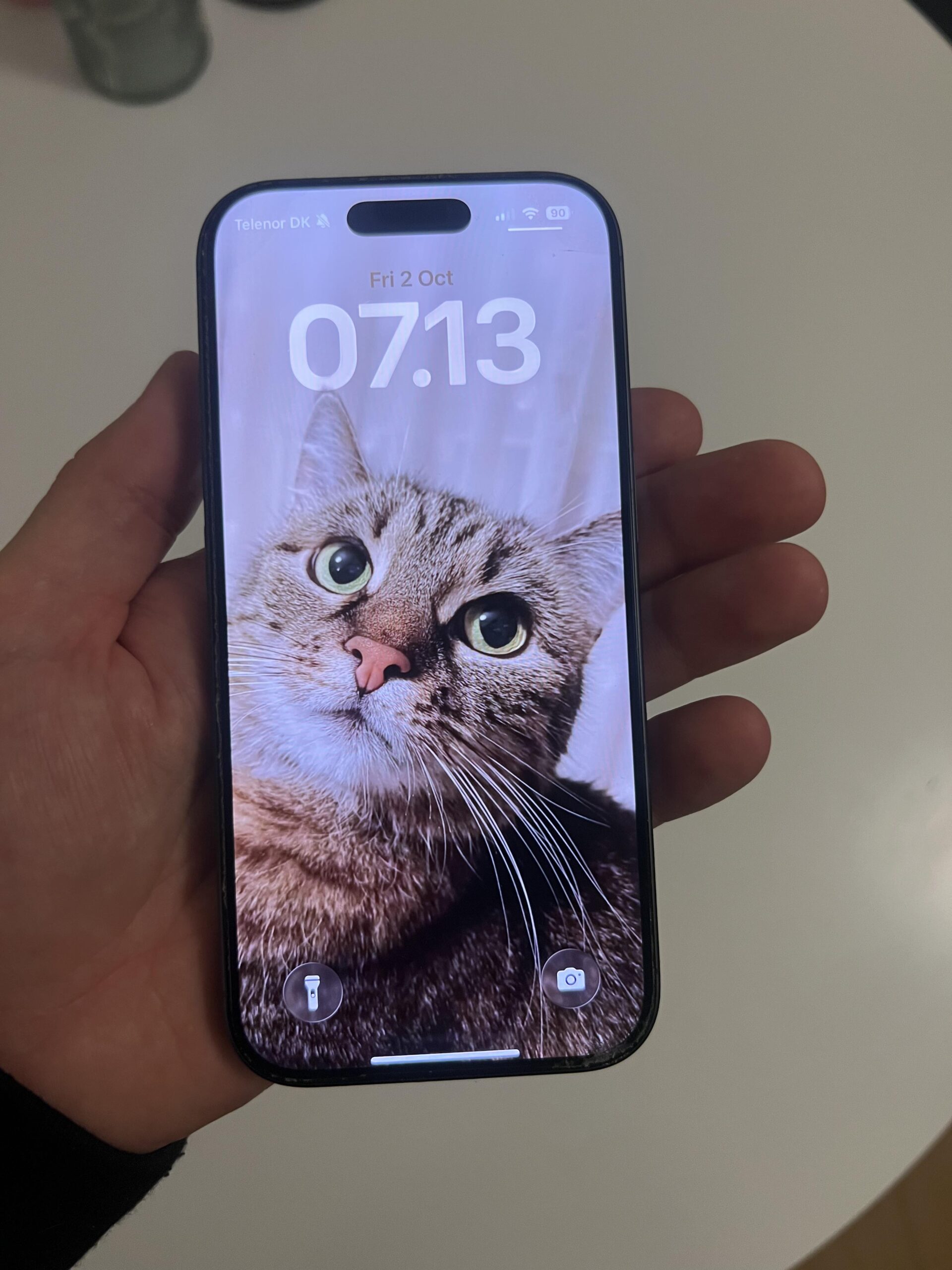 Apple iPhone 17 256 GB Schwarz von vorn nach etwa sechs Monaten täglicher Nutzung