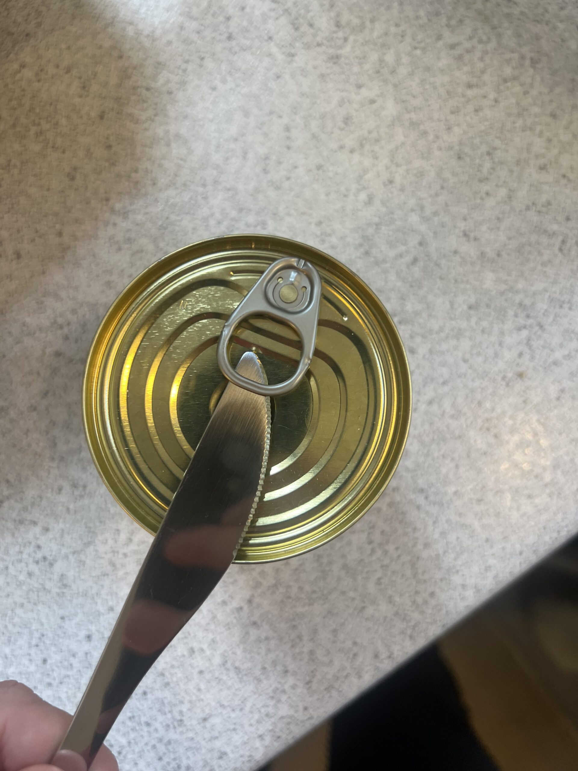 Geöffnete DREISTERN Chili sin Carne Dose nach dem Anheben des Deckels